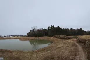 Lot 9A Song Sparrow Circle, Delmar, MD 21875 - Photo 37