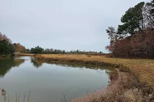 Lot 9A Song Sparrow Circle, Delmar, MD 21875 - Photo 49