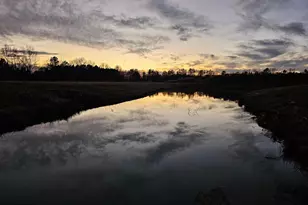 Lot 9A Song Sparrow Circle, Delmar, MD 21875 - Photo 39