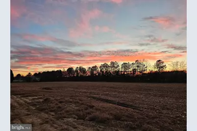 Lot 9A Song Sparrow Circle, Delmar, MD 21875 - Photo 5