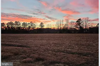 Lot 9A Song Sparrow Circle, Delmar, MD 21875 - Photo 9