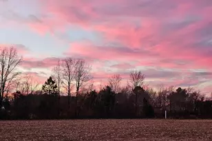 Lot 6A Mourning Dove Way, Delmar, MD 21875 - Photo 39