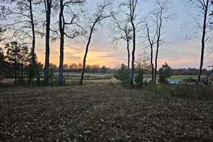 Lot 6A Mourning Dove Way, Delmar, MD 21875 - Photo 19