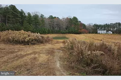 Lot 6A Mourning Dove Way, Delmar, MD 21875 - Photo 53