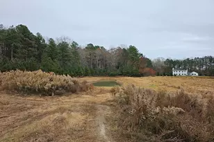 Lot 6A Mourning Dove Way, Delmar, MD 21875 - Photo 53