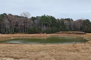 Lot 6A Mourning Dove Way, Delmar, MD 21875 - Photo 49