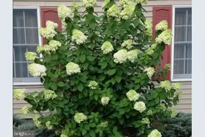 5474 Royal Mile Boulevard, Salisbury, MD 21801 - Photo 91