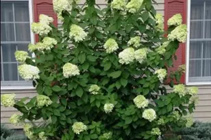 5474 Royal Mile Blvd, Salisbury, MD 21801 - Photo 91