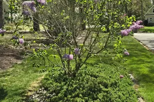 5474 Royal Mile Blvd, Salisbury, MD 21801 - Photo 85