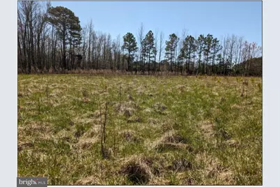 0 Old Eden Road, Eden, MD 21822 - Photo 7