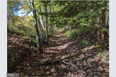 0 Old Eden Road, Eden, MD 21822 - Photo 15