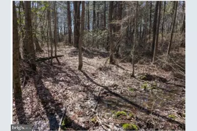 0 Old Eden Road, Eden, MD 21822 - Photo 9