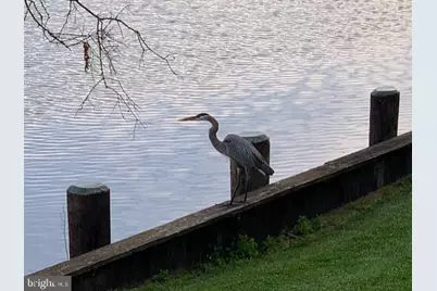 1124 Riverside Drive, Salisbury, MD 21801 - Photo 47