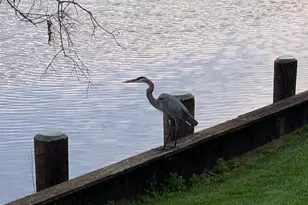 1124 Riverside Dr, Salisbury, MD 21801 - Photo 47