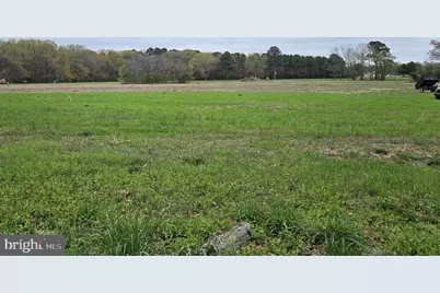 0 Foskey Lane, Delmar, MD 21875 - Photo 1