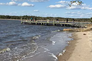 4747 Tyaskin Rd, Tyaskin, MD 21865 - Photo 47