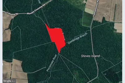0 Massey Crossing Road, Willards, MD 21874 - Photo 1