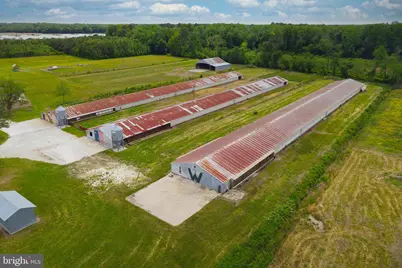 6518 Friendship Road, Pittsville, MD 21850 - Photo 5