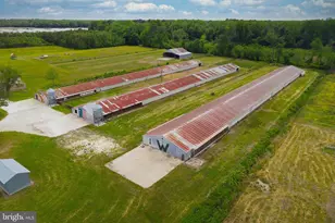 6518 Friendship Rd, Pittsville, MD 21850 - Photo 5