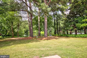 913 S Schumaker Dr, Salisbury, MD 21804 - Photo 33