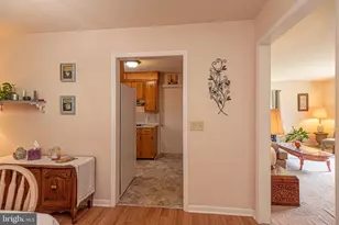 7231 Friendship Rd, Pittsville, MD 21850 - Photo 5