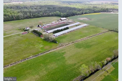 36555 Sheppards Crossing Road, Willards, MD 21874 - Photo 3