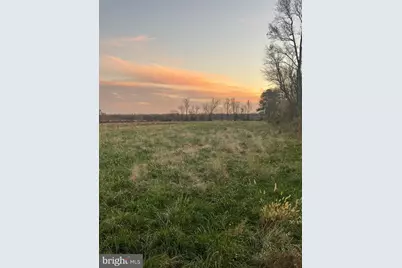 36555 Sheppards Crossing Road, Willards, MD 21874 - Photo 9