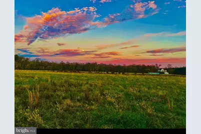 36555 Sheppards Crossing Road, Willards, MD 21874 - Photo 19