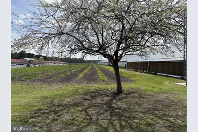 36555 Sheppards Crossing Road, Willards, MD 21874 - Photo 11