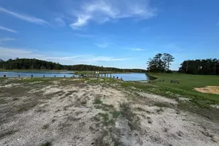 2707 Clara Rd, Tyaskin, MD 21865 - Photo 3