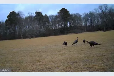 34292 West Street, Pittsville, MD 21850 - Photo 37