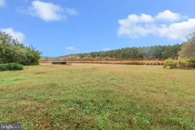 29592 Foskey Lane, Delmar, MD 21875 - Photo 53