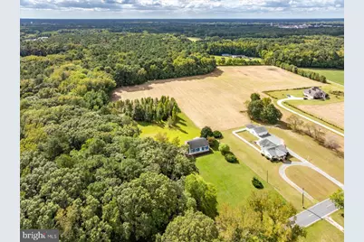 31655 Morris Leonard Road, Parsonsburg, MD 21849 - Photo 75