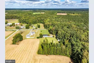 31655 Morris Leonard Road, Parsonsburg, MD 21849 - Photo 77