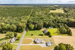 31655 Morris Leonard Rd, Parsonsburg, MD 21849 - Photo 81