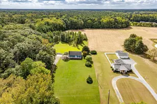 31655 Morris Leonard Rd, Parsonsburg, MD 21849 - Photo 73