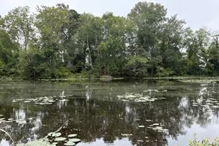 415 Creekside Trail, Fruitland, MD 21826 - Photo 37