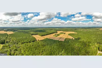 0 Bob Smith Road, Parsonsburg, MD 21849 - Photo 5