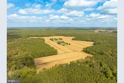 0 Bob Smith Road, Parsonsburg, MD 21849 - Photo 3