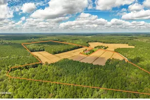 0 Bob Smith Rd, Parsonsburg, MD 21849 - Photo 1