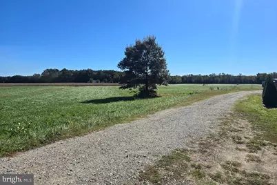 6728 Friendship Road, Pittsville, MD 21850 - Photo 3