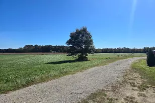 6728 Friendship Rd, Pittsville, MD 21850 - Photo 3