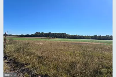 6728 Friendship Road, Pittsville, MD 21850 - Photo 121