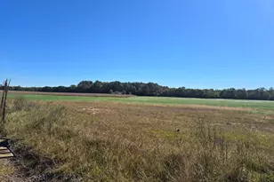 6728 Friendship Rd, Pittsville, MD 21850 - Photo 121