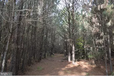 24959 Collins Wharf Road, Eden, MD 21822 - Photo 9