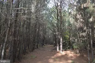 24959 Collins Wharf Rd, Eden, MD 21822 - Photo 9