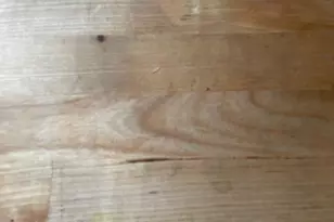 1209 Belmont Ave, Salisbury, MD 21804 - Photo 5