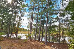 930 Johnson Rd, Salisbury, MD 21804 - Photo 61