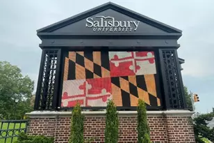 1008 Adams Ave, Salisbury, MD 21804 - Photo 19