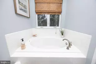 104 Horsetail Ct, Fruitland, MD 21826 - Photo 43